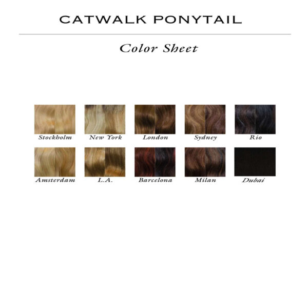 r Ponytail Straight color sheet