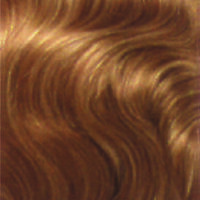 balmain hairxpression 27