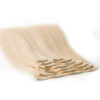 bighair clip-in kleur 60# Product overzicht