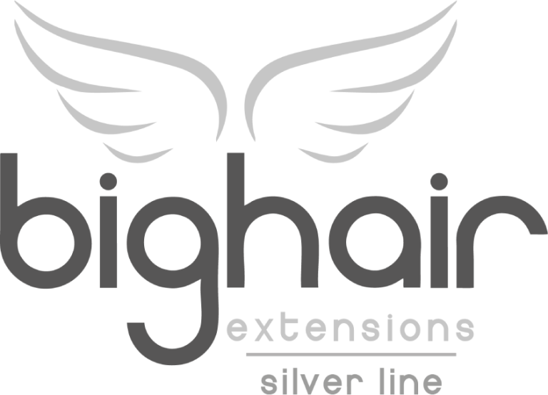 Logo_BigHair-silver