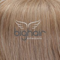 Bighair Topper extension Blond 613/10/14H#