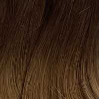 Bighair Genius Weft-Weave Ombrè R2/D6#
